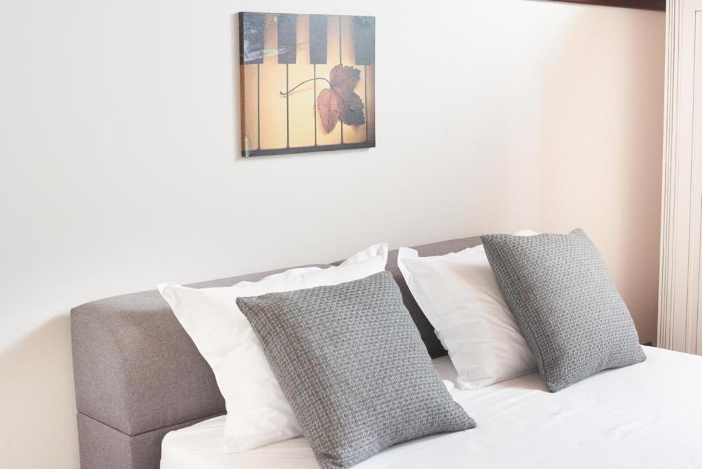 Dom Unirii Apartment 蒂米什瓦拉 外观 照片