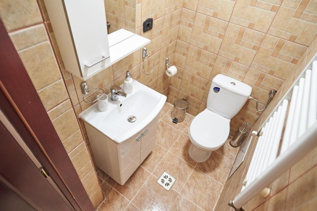 Dom Unirii Apartment 蒂米什瓦拉 外观 照片